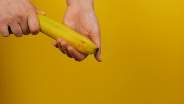 노란색 매니큐어와 여성의 손은 노란색 배경에 잘 익은 바나나 과일을 보유하고 — 비디오