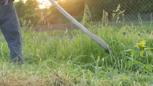 Homem forte agricultor corta uma grama verde com foice mão no fundo do pôr-do-sol. Colheita de feno — Vídeo de Stock