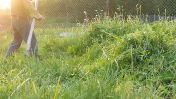 Homem forte agricultor corta uma grama verde com foice mão no fundo do pôr-do-sol. Colheita de feno — Vídeo de Stock