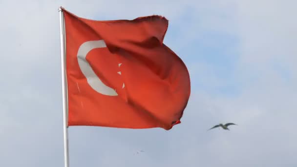 Bandeira nacional turca acena no vento contra o céu — Vídeo de Stock