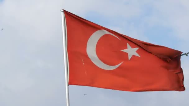 Türkische Nationalflagge weht im Wind gegen den Himmel — Stockvideo