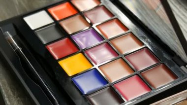 Makyaj sanatçıları için çok renkli profesyonel rujlar paleti. Güzellik yardımları ürünleri yüz için dekorasyon kozmetik