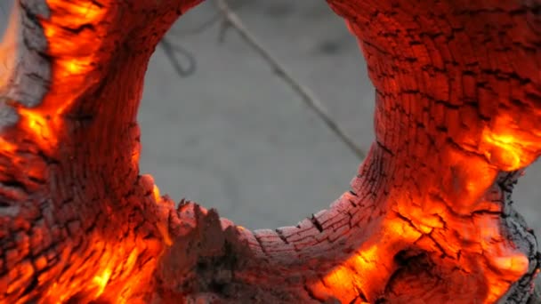 Интересный необычный тлеющий и горящий старый пень дерева, светящийся от ветра — стоковое видео