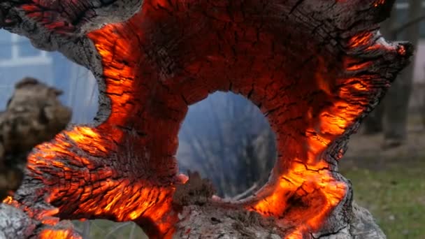 İlginç sıradışı yanan ve yanan eski ağaç kütüğü, rüzgardan parlayan — Stok video