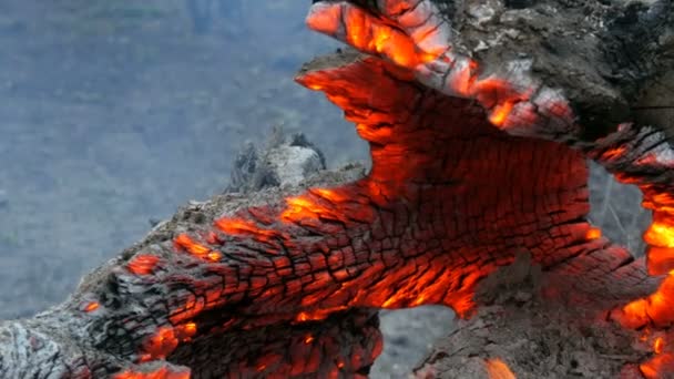 Interessante incomum smoldering e queima velho toco de árvore, brilhando do vento — Vídeo de Stock