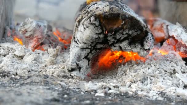 Bonito y elegante fuego de leña ardiente y ardiente de cerca — Vídeo de stock