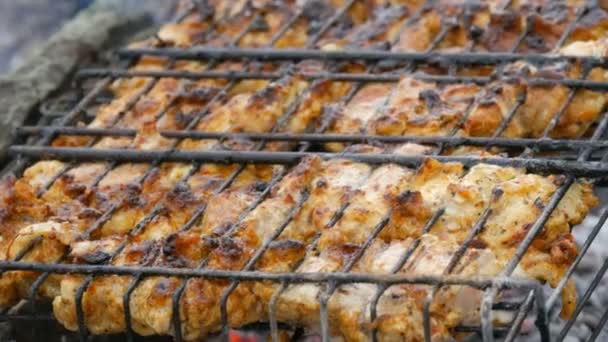 Parrilla de carne en la parrilla de barbacoa en la naturaleza. Freír carne fresca, barbacoa de pollo, salchicha, kebab, hamburguesa, vacaciones. El hombre gira la parrilla — Vídeo de stock