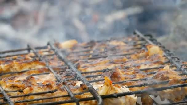 Grelha de carne em churrasqueira na natureza. Fritar Carne Fresca, Churrasco de Frango, Salsicha, Kebab, Hambúrguer, férias. Homem vira a grade — Vídeo de Stock