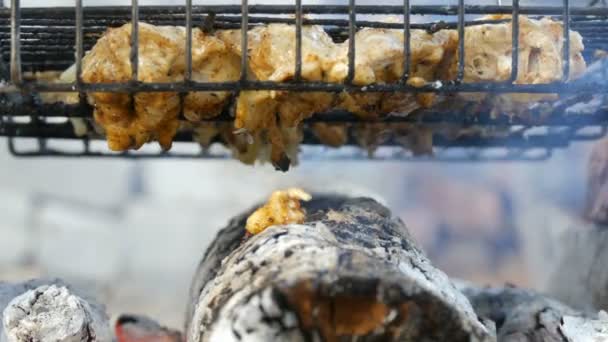 Parrilla de carne en la parrilla de barbacoa en la naturaleza. Freír carne fresca, barbacoa de pollo, salchicha, kebab, hamburguesa, vacaciones. El hombre gira la parrilla — Vídeo de stock