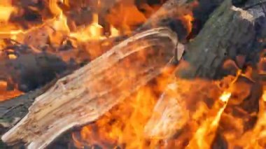 Güzel ve şık ahşap yanan ateş ve yakın