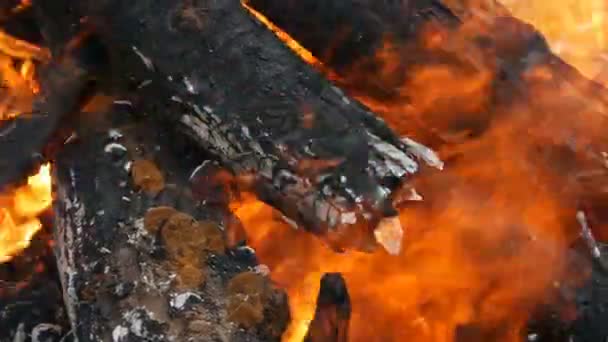 ニースとスタイリッシュな木材燃える火とクローズアップ — ストック動画