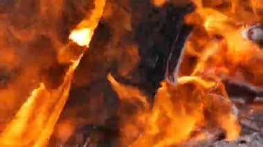 Güzel ve şık ahşap yanan ateş ve yakın