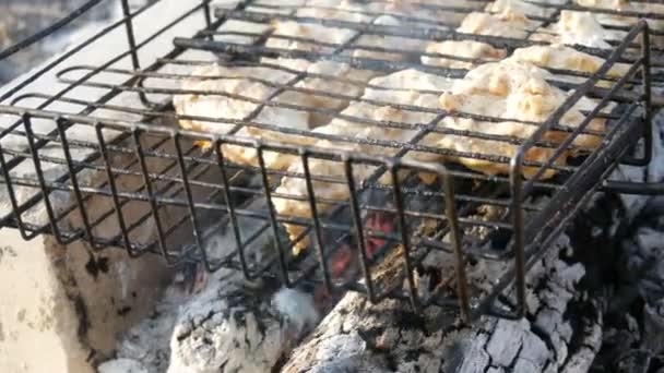 Meat grilling on barbecue grill on nature. Frying Fresh Meat, Chicken Barbecue, Sausage, Kebab, Hamburger, holiday. Man turns the grille — Stock Video