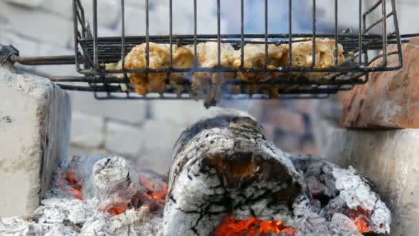 Grillades de viande sur barbecue sur la nature. Friture Viande fraîche, Barbecue au poulet, Saucisse, Kebab, Hamburger, vacances — Video