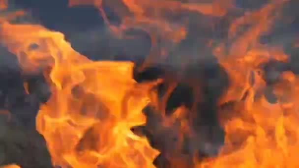 Vlam van vlammen Fire close View — Stockvideo