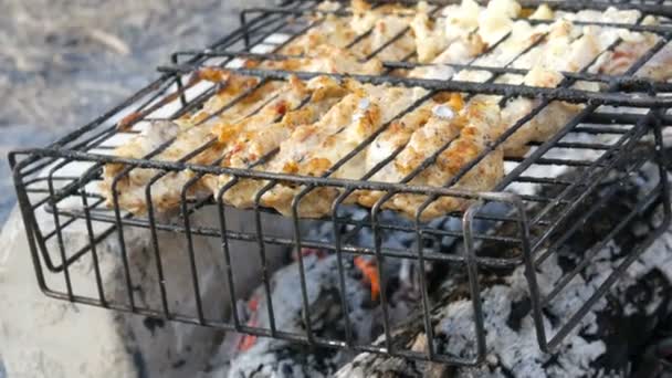 Parrilla de carne en la parrilla de barbacoa en la naturaleza. Freír Carne Fresca, Barbacoa de Pollo, Embutidos, Kebab, Hamburguesas, Vacaciones — Vídeo de stock