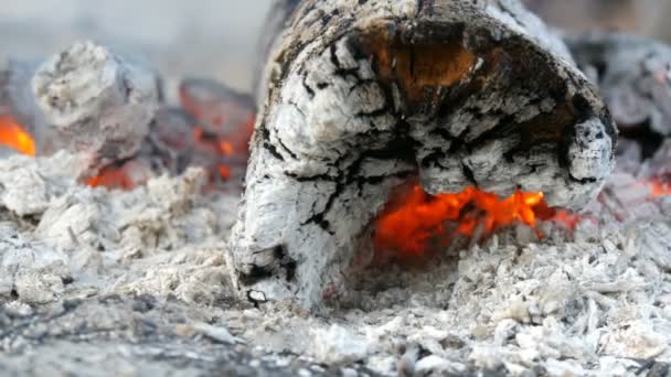 Nice e elegante smoldering e queima de fogo de madeira de perto — Vídeo de Stock