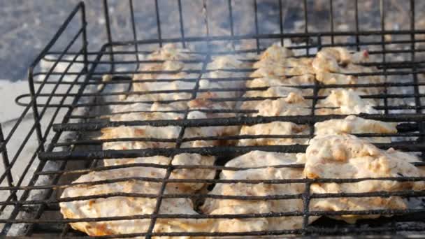 Grilovaná masa na přírodě. Smažení čerstvého masa, grilování kuřat, klobásy, kebab, hamburger, dovolená — Stock video