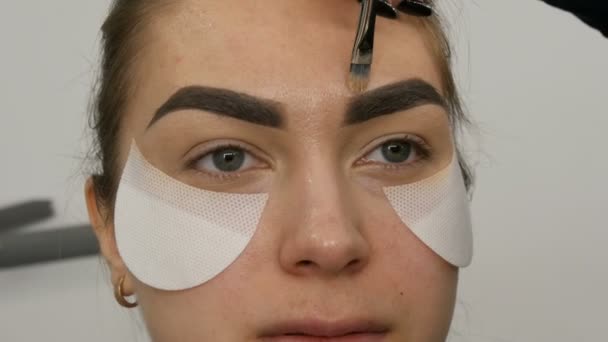 Maquillaje profesional de la ceja tintes maquillaje especial de la ceja del cepillo de cerca — Vídeos de Stock