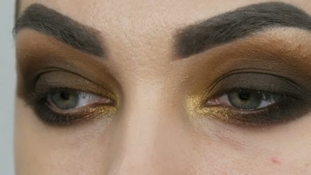 Artiste maquilleur professionnel rend les yeux fumés maquillage de nuance brune d'un beau modèle avec les yeux verts de près — Video