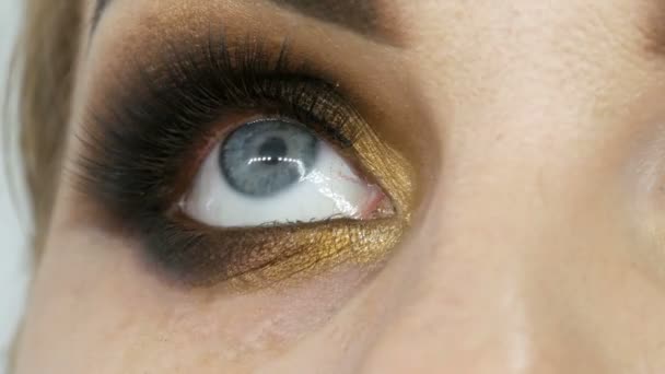 Master μακιγιάζ καλλιτέχνης Εφαρμόστε επαγγελματική μακιγιάζ χρυσά μάτια στο σαλόνι ομορφιάς σε ένα μοντέλο λίπος γυναίκα με μπλε μάτια κοντά — Αρχείο Βίντεο