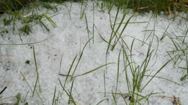 Doğal afetler. Yeşil çimenler üzerinde erken bahar karlı buz dolu