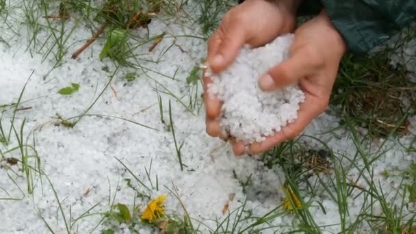 Doğal afetler. Erken bahar karlı buz yeşil çim üzerinde dolu. Bir adam elinde soğuk bir dolu tutar — Stok video