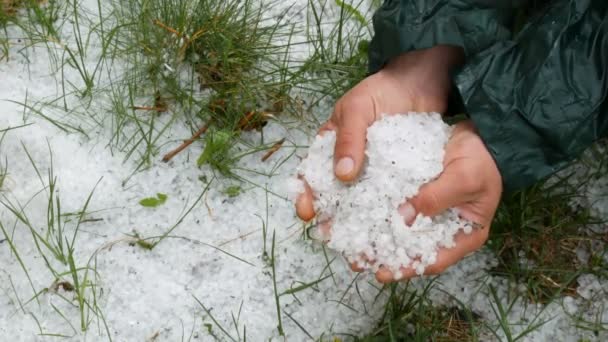 Naturkatastrophen. Im Frühjahr hagelt es Schnee auf grünem Gras. ein Mann hält einen kalten Hagel in den Händen — Stockvideo