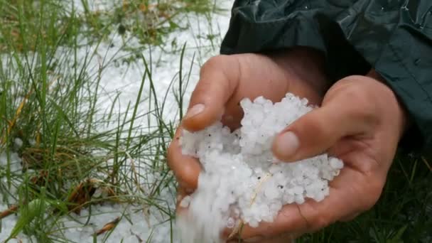 自然災害早春の雪氷が緑の草の上にあられ。男は手に冷たい雹を抱えている — ストック動画