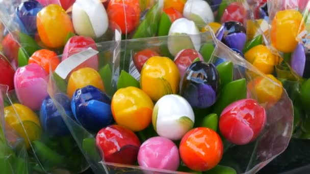 Recuerdos y símbolos de tulipanes multicolores de madera de Holanda — Vídeos de Stock