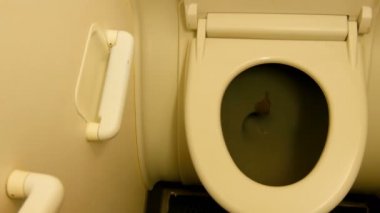 Uçakta ki eski tuvalet kulübesi. Tuvalet ve floş düğmesi. Modern uçak tuvalet odası nın iç