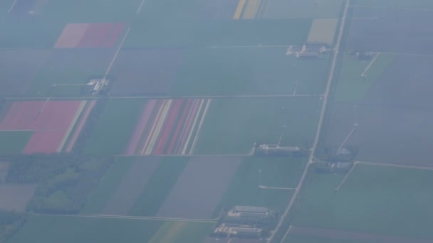 Samolot leci nad pięknymi polami wielokolorowych tulipany w Holandii, widok z Porthole. Skrzydło samolotu w locie na polach tulipanów Holandii — Wideo stockowe