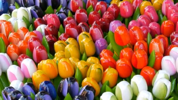 Recuerdos y símbolos de tulipanes multicolores de madera de Holanda — Vídeos de Stock