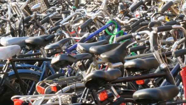 荷兰阿姆斯特丹 - 2019年4月21日：自行车停车场。许多不同的自行车停在一条特殊的停车场的街道上。国内自行车超载问题 — 图库视频影像