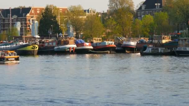 Амстердам, Нидерланды - 21 апреля 2019 года: Туристы плывут на лодке вдоль Амстердамского канала, на котором пришвартованы лодки. Настоящие голландские дома и улицы столицы Нидерландов — стоковое видео