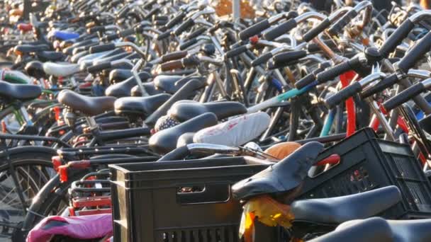 Амстердам, Нидерланды - 21 апреля 2019 года: Парковка для велосипедов. Много разных велосипедов припарковано на улице на специальных стоянках. Проблема перегрузки велосипедов в стране — стоковое видео