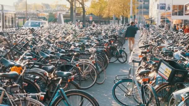 Amsterdam, Nederland-21 april 2019: fietsenstalling. Veel verschillende fietsen geparkeerd op een straat op speciale parkeerplaatsen. Het probleem van de fiets overbelasting in het land — Stockvideo