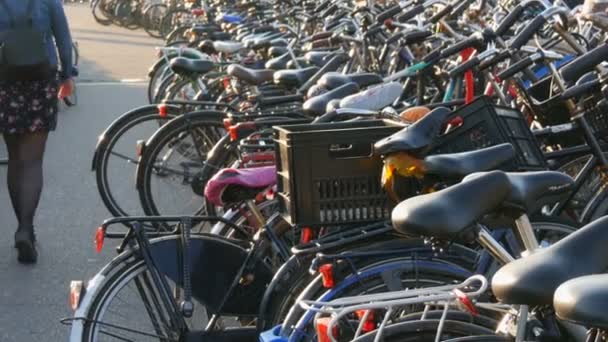 Амстердам, Нідерланди-21 квітня 2019: парковка для велосипедів. Безліч різних велосипедів, припаркованих на вулиці в спеціальних паркувальних локах. Проблема перевантаження велосипеда в країні — стокове відео