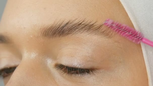 Cepillo especial para peinar cejas. Artista de maquillaje profesional está peinando las cejas de modelo chica — Vídeo de stock