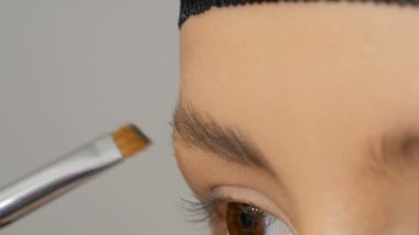 Kaşları tararken özel fırça. Profesyonel makyaj sanatçısı kız model kaşları tarıyor