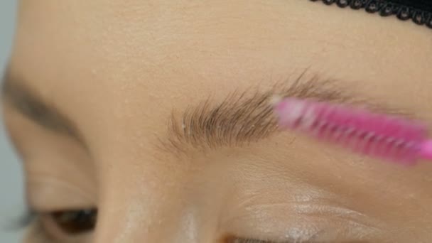 Spezialbürste zum Kämmen der Augenbrauen. professionelle Make-up-Artist kämmt die Augenbrauen von Mädchen Modell — Stockvideo