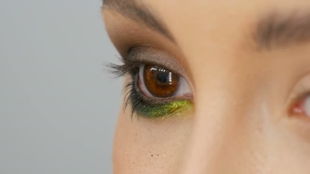 Профессиональный стилист визажист делает макияж для глаз модели. Модель лица с вечерним макияжем — стоковое видео