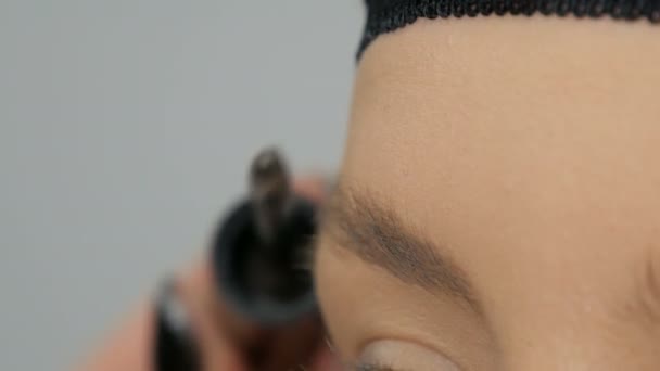 Spezialbürste zum Kämmen der Augenbrauen. professionelle Make-up-Artist kämmt die Augenbrauen von Mädchen Modell — Stockvideo