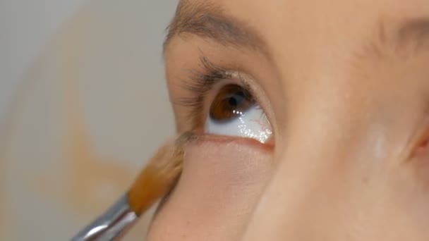 Un artista professionista fa il make-up per una bella ragazza modello, piumaggio in polvere, evidenziatore, crema fondazione con pennello speciale per il trucco — Video Stock