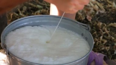 Sütçü elle sağıyor. Dişi eller otlakta memelerini sıkar. Köpüklü taze süt demir bir kovaya akar. Bahçede sağım