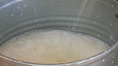 Sütçü elle sağıyor. Dişi eller otlakta memelerini sıkar. Köpüklü taze süt demir bir kovaya akar. Bahçede sağım