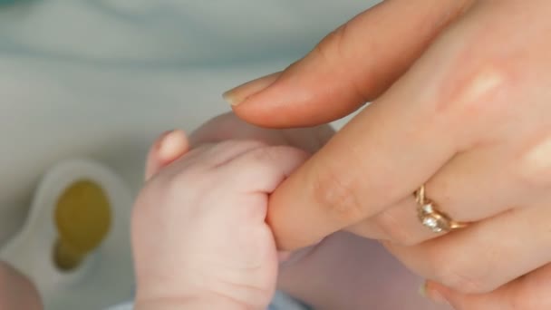 De kleine hand van een pasgeboren baby van twee maanden houdt de vingers van zijn moeder — Stockvideo