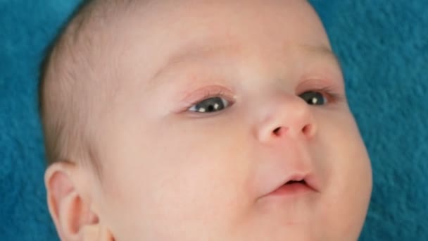 Portré a gyönyörű vicces kis újszülött két hónapos feküdt egy kék ágyátú körül Baby csörgők — Stock videók
