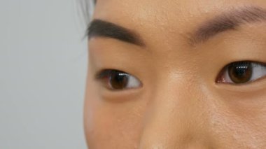 Profesyonel makyaj sanatçısı özel fırça ile Asyalı Koreli kadın modelin yüzüne kaşboyaları.