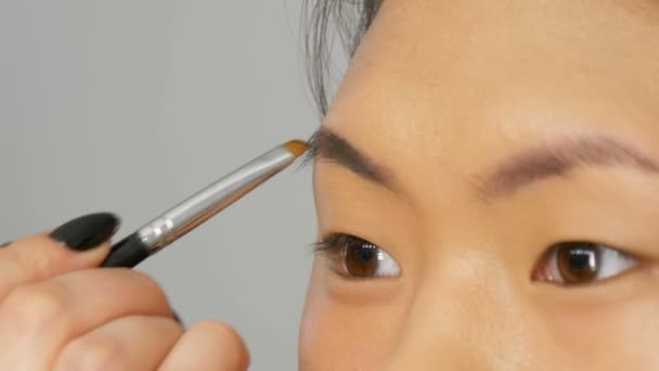 Artista de maquillaje profesional pinta las cejas en la cara de un modelo de mujer coreana asiática con cepillo especial . — Vídeo de stock